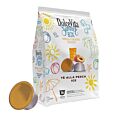 Dolce Vita Tè alle pesca ice pak en capsule voor Dolce Gusto
